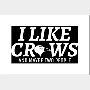 Crow People Joke American Common Beak Posters and Art